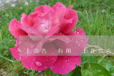 上京告狀有用嗎(上北京告狀能解決嗎)