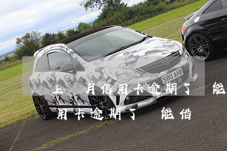 上個月信用卡逾期了還能借錢嗎-上個月信用卡逾期了還能借錢嗎怎么辦