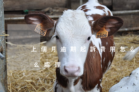 上個月逾期起訴費用怎么處理 逾期被起訴怎么處理