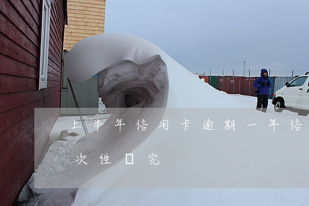 上半年信用卡逾期一年(信用卡逾期大半年一次性還完)