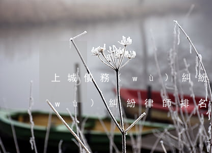 上城債務(wù)糾紛律師排名 上城債務(wù)糾紛律師排名