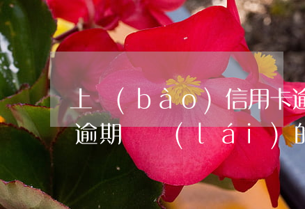 上報(bào)信用卡逾期有啥影響(信用卡逾期帶來(lái)的后果)