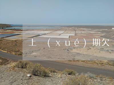 上學(xué)期欠網(wǎng)貸怎么辦