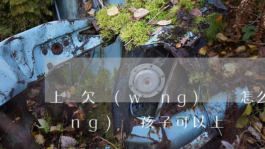上學欠網(wǎng)貸會怎么樣(欠網(wǎng)貸孩子可以上學嗎)