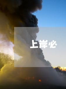 上岸必須要逾期嗎(逾期上岸是什么意思)
