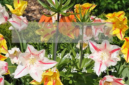 上市公司信息披露管理办法(上市公司信息披露管理办法属于什么)