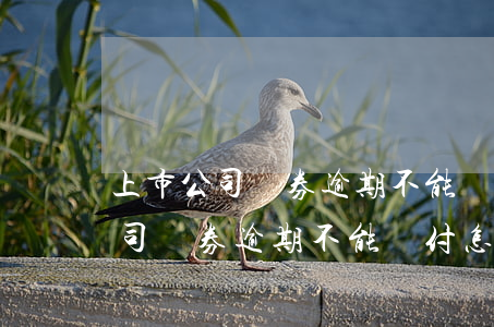 上市公司債券逾期不能兌付怎么辦-上市公司債券逾期不能兌付怎么辦呢