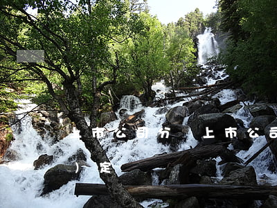 上市公司分紅(上市公司分紅比例規(guī)定)