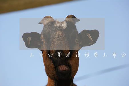 上市公司发行债券(上市公司发行债券条件)