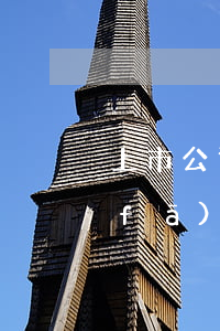 上市公司定增什么意思（上市公司的定增發(fā)行流程）