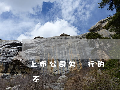 上市公司欠銀行的錢還不起-上市公司欠債不還