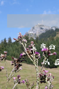 上市公司欠銀行錢在哪里查找(欠上市公司的錢以后要還嗎)