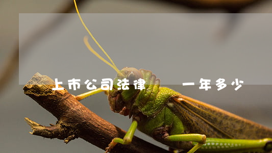 上市公司法律顧問一年多少錢