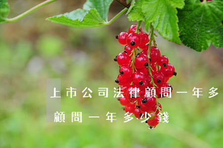上市公司法律顧問一年多少錢(上市公司法律顧問一年多少錢)