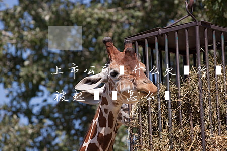上市公司為什么欠銀行錢(上市公司欠錢不給,被起訴會怎么樣)