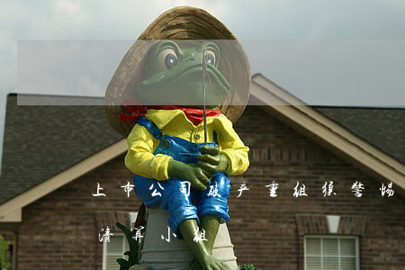 上市公司破产重组须警惕＂借壳圈钱＂破产清算小组