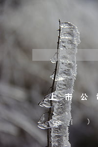 上市公司舉牌規(guī)則是怎么規(guī)定的（證券法對于舉牌的有關(guān)規(guī)定）