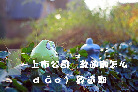 上市公司貸款逾期怎么辦(貸款公司倒閉導(dǎo)致逾期)