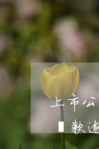 上市公司貸款逾期股票要跌多少-上市公司貸款逾期股票要跌多少才能買