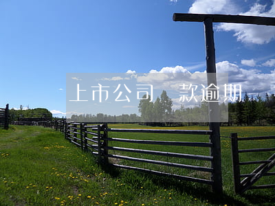上市公司貸款逾期訴訟(銀行貸款逾期被起訴)