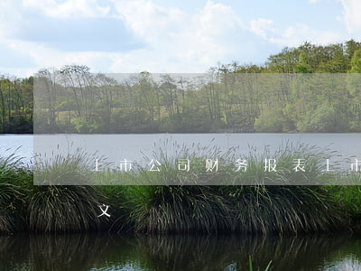 上市公司财务报表(上市公司财务报表分析论文)