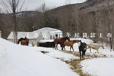 上市公司還不起貸款(上市公司欠款不還)