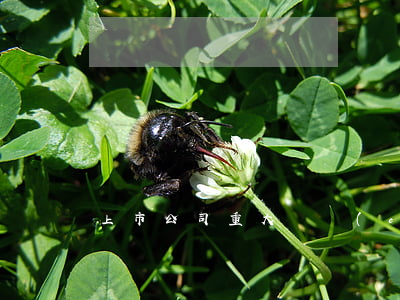 上市公司重大資產(chǎn)重組的要求