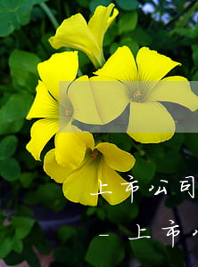 上市公司銀行債務(wù)逾期的解決方案-上市公司銀行債務(wù)逾期的解決方案有哪些