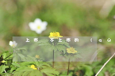 上市與不上市的區(qū)別