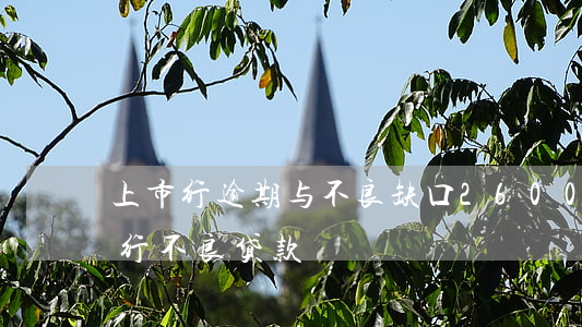 上市行逾期与不良缺口2600亿-上市银行不良贷款
