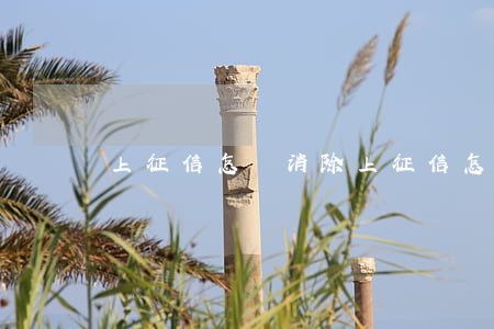 上征信怎樣消除(上征信怎么能消除)