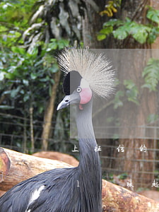上征信的網(wǎng)貸欠多少會(huì)被起訴(網(wǎng)貸欠錢(qián)會(huì)上征信嗎)