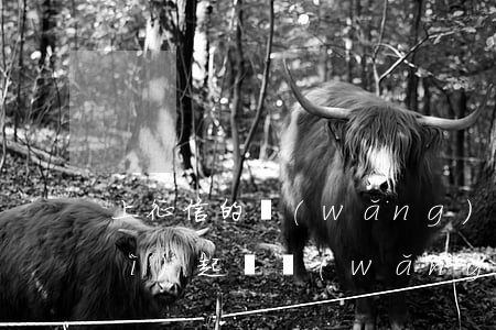 上征信的網(wǎng)貸欠多少會(huì)起訴(網(wǎng)貸欠款上征信嗎)