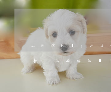 上征信的網(wǎng)貸起訴我后多久還款-上征信的網(wǎng)貸起訴我后多久還款有效