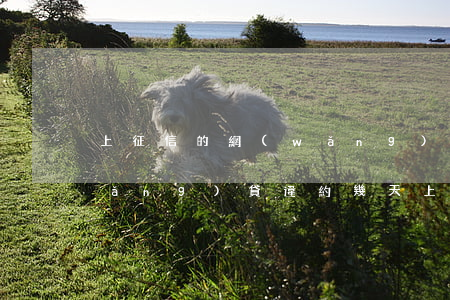 上征信的網(wǎng)貸逾期4天(網(wǎng)貸違約幾天上征信)
