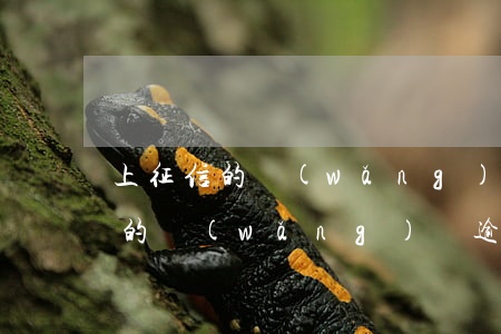 上征信的網(wǎng)貸逾期九天(上征信的網(wǎng)貸逾期九天)