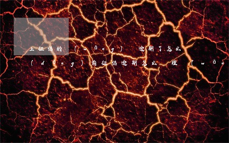 上征信的網(wǎng)貸逾期了怎么辦（當(dāng)前征信逾期怎么辦理網(wǎng)貸）