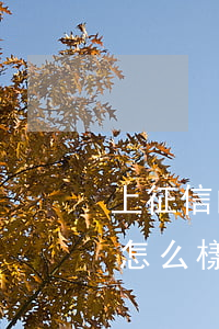 上征信的網(wǎng)貸逾期了被起訴會怎么樣-上征信的網(wǎng)貸逾期了被起訴會怎么樣