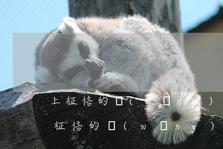 上征信的網(wǎng)貸逾期多久起訴(上征信的網(wǎng)貸逾期了)