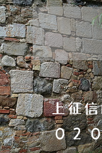 上征信的網(wǎng)貸逾期處理方案2020-上征信網(wǎng)貸逾期怎么辦