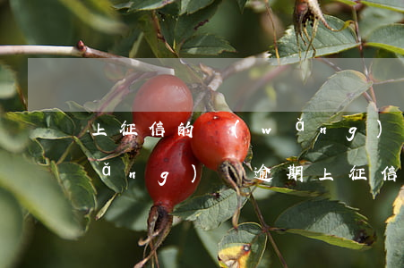 上征信的網(wǎng)貸都逾期了(網(wǎng)貸逾期上征信了怎么辦)