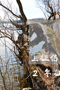 上征信的貸款逾期兩年了(之前有逾期但是近2年征信好)