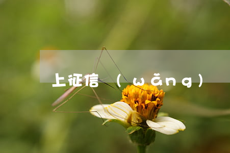 上征信網(wǎng)貸起訴坐牢