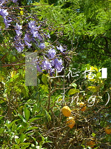 上征信網(wǎng)貸逾期3個月(網(wǎng)貸逾期三到五天會上征信嗎)
