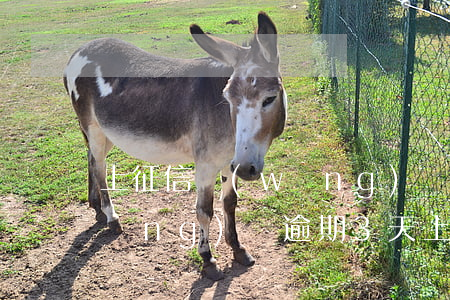 上征信網(wǎng)貸逾期三個月(網(wǎng)貸逾期3天上征信嗎)