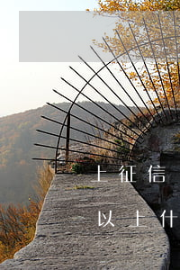 上征信網貸逾期180天(網貸逾期180天以上什么后果)