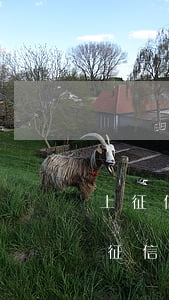 上征信逾期怎么辦信用卡(銀行信用卡逾期上征信 還了 怎么取消征信)