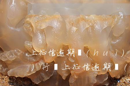 上征信逾期會(huì)被法院執(zhí)行嗎(上征信逾期會(huì)被法院執(zhí)行嗎)