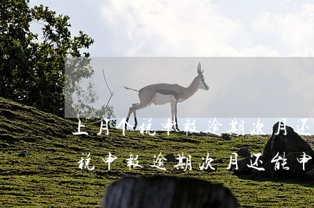 上月个税申报逾期次月还能申报吗-上月个税申报逾期次月还能申报吗怎么办