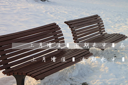 上月增值稅逾期未申報在哪補(bǔ)報-上月增值稅逾期未申報在哪補(bǔ)報呢